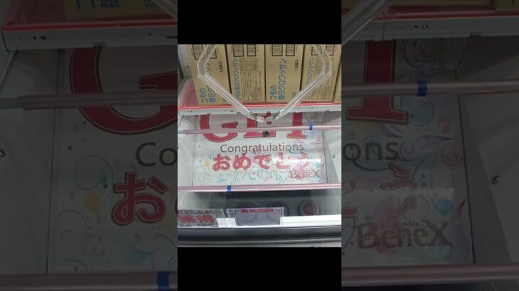 偶然しかないクレゲでダンボール箱をゲット #shorts