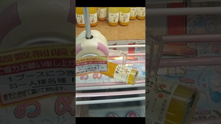 ベネクス川越店は飲料パック以外の飲み物も獲れます #shorts