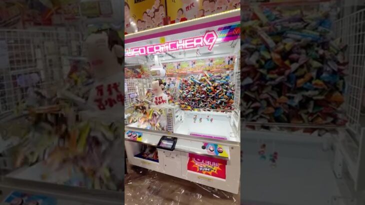 店員さんごめんなさい🙇♀️ #shorts #クレーンゲーム #ufoキャッチャー #ゲーセン #ゲームセンター #万代苫小牧店