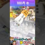 確率来てると確信するジュニア。　#shorts #クレーンゲーム #クレーンゲーム攻略 #ufoキャッチャー