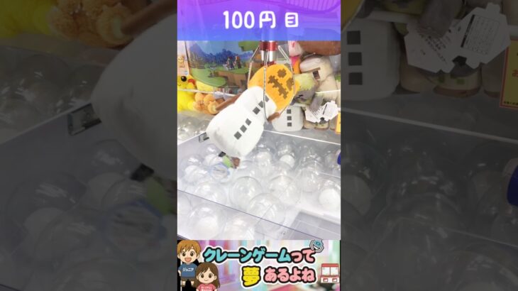 確率来てると確信するジュニア。 #shorts #クレーンゲーム #クレーンゲーム攻略 #ufoキャッチャー