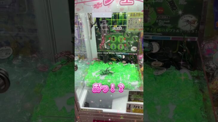 とれるかな！？#shorts #クレーンゲーム #ufoキャッチャー