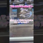 いい感じの放置ブース発見!ハイエナしてみる! #クレーンゲーム #フリーレン #shorts #ufoキャッチャー