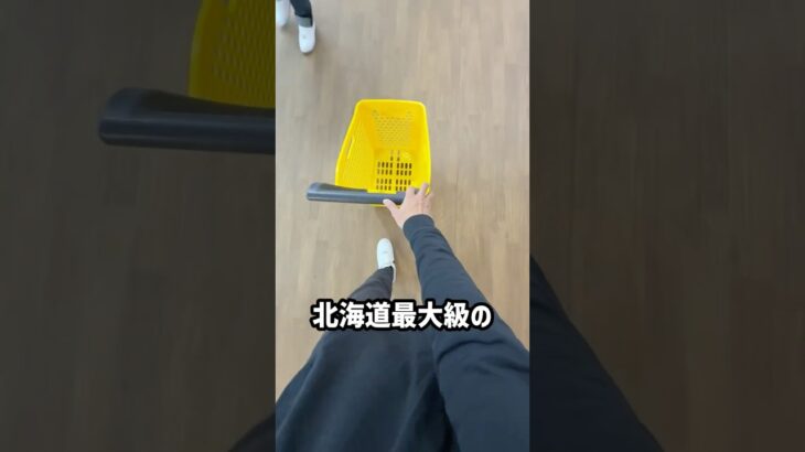 北海道のゲーセンでカートパンパンするのにいくらかかるのか挑戦してみたら、、、 #shorts #クレーンゲーム #ufoキャッチャー #ゲーセン #ゲームセンター #万代 BiVi新さっぽろ店