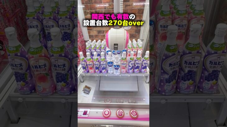 【回遊館橿原店】オープン前の潜入で発覚！奈良に関西最大級のお店が誕生します！  #shorts #クレーンゲーム #ufoキャッチャー #cranegame