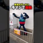 オープン初日、回遊館橿原店が今熱い‼︎ #shorts #クレーンゲーム #ufoキャッチャー #cranegame