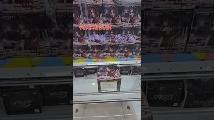 【trivial matters】渡橋機實戰分享: 特殊箱挑戰 時崎狂三骰仔盒 Desktop Cute時崎狂三~ナイトウェアver.