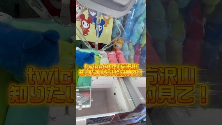 twiceのぬいぐるみの攻略方法3選！ #クレーンゲーム #ゲームセンター #ufoキャッチャー #twice #gigo