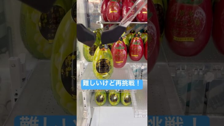 難しいけど再挑戦！　取り方わかりません　#クレーンゲーム #札幌市 #ufoキャッチャー #ゲーセン #拡散 #北海道 #景品