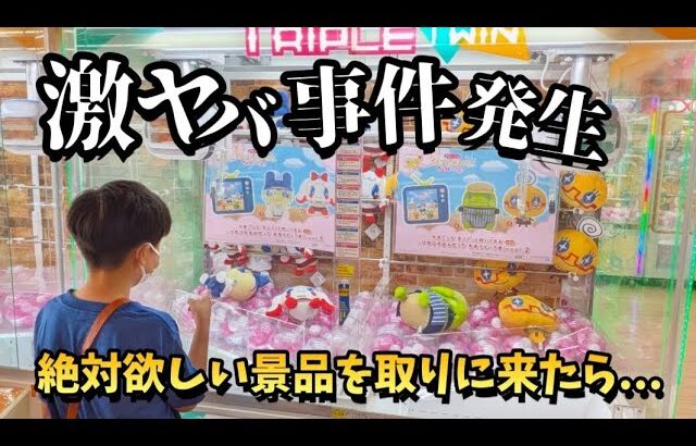 【クレーンゲーム】事件発生!?少年がゲームセンターで絶対欲しい景品を狙ったらヤバいことが起きました【ufoキャッチャー 回遊館】