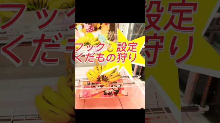 【フック設定】ゲーセンでフルーツ狩り #龍ヶ崎 #クレーンゲーム #ufoキャッチャー #攻略#フック#フィギュア#雑貨#おたちゅう