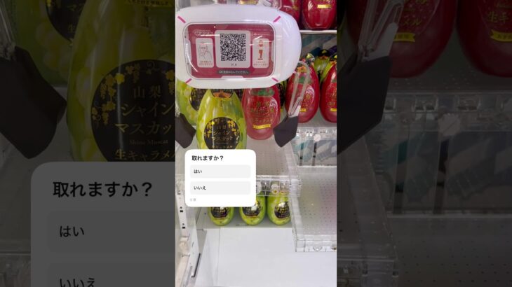 取れますか？　#クレーンゲーム #ufoキャッチャー  #ゲーセン  #景品