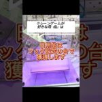 【クレーンゲーム】クレーンゲームが好きな母　日用品はゲーセンで調達する！？ #クレーンゲーム #プライズ獲得 #ゲームセンター #ufoキャッチャー #攻略