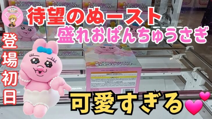 【クレーンゲーム】待望の盛れおぱんちゅうさぎが登場!!前回の童磨の影が忍び寄る？！ ＃クレーンゲーム ＃ユーフォーキャッチャー ＃ufoキャッチャー ＃回遊館