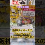 クレゲ好きの阪神ファンなのでほしい #クレーンゲーム #ufoキャッチャー #ベネクス川越 #阪神タイガース #六甲おろし