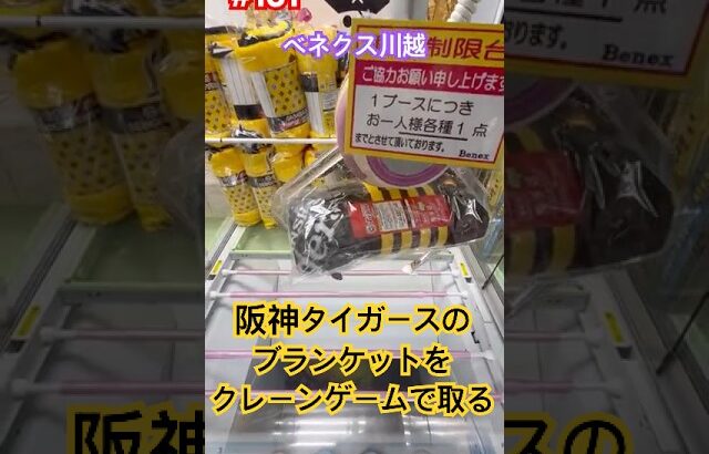 クレゲ好きの阪神ファンなのでほしい #クレーンゲーム #ufoキャッチャー #ベネクス川越 #阪神タイガース #六甲おろし