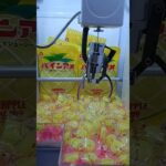 パインアメ食べたい🍍#クレーンゲーム景品 #クレーンゲーム #クレーンゲーム攻略 #ゲームセンター #ufoキャッチャー #パインアメ