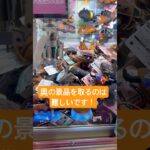 奥の景品を取るのは難しいです! #北海道 #クレーンゲーム #拡散 #札幌市 #ufoキャッチャー #ゲーセン