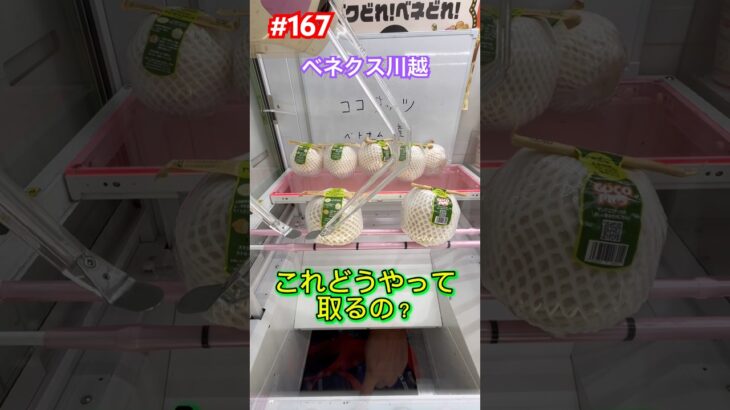 設定ミス? #クレーンゲーム #ufoキャッチャー #ベネクス川越 #ココナッツ