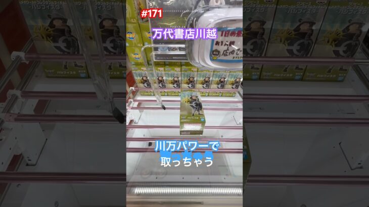 川万パワーでサクッと取れちゃう #クレーンゲーム #ufoキャッチャー #川万 #ワンピース