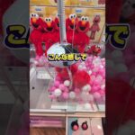 エルモって最近見ないけど元気かな？😅我が子はよくクッキーモンスターに憑依されてるけど笑#クレーンゲーム #ufoキャッチャー #ゲームセンター #クレーンゲーム攻略