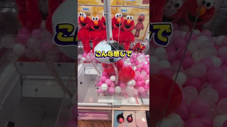 エルモって最近見ないけど元気かな？😅我が子はよくクッキーモンスターに憑依されてるけど笑#クレーンゲーム #ufoキャッチャー #ゲームセンター #クレーンゲーム攻略