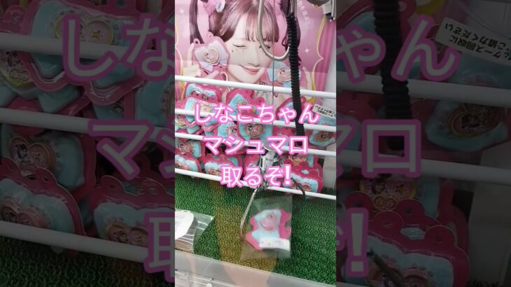 しなこちゃんマシュマロもう食べた？😍 #クレーンゲーム景品 #クレーンゲーム #クレーンゲーム攻略 #ゲームセンター #ufoキャッチャー #ミニクレーンゲーム #しなこちゃん #マシュマロ