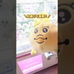 大きなぬいぐるみの取り方！とれたら嬉しいよね(#^.^#) #クレーンゲーム #ufoキャッチャー #ハロウィン #大きいぬいぐるみ