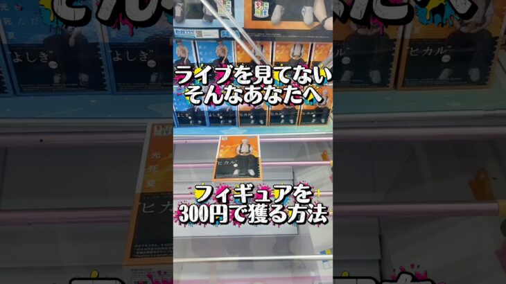 ガッツリペッタリーノの相棒も突き回しました🙄#クレーンゲーム #ufoキャッチャー #攻略