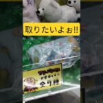 可愛い毛布欲しい✨ #クレーンゲーム景品 #ゲームセンター #クレーンゲーム攻略 #クレーンゲーム #ufoキャッチャー #ゲーセン #ショート