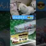 まじっすか😳 #クレーンゲーム景品 #ゲームセンター #クレーンゲーム攻略 #クレーンゲーム #ufoキャッチャー #ゲーセン #ショート #ミニクレーンゲーム