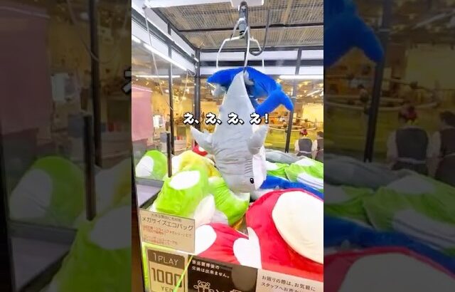 万博で困ってるお姉さん(フォロワーさん)を助けて来ました✋#クレーンゲーム #ufoキャッチャー #ぬいぐるみ #大量ゲット #クレーンゲーム攻略 #プライズ獲得