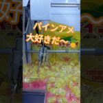 パインアメ久しぶりに食べたらめちゃうまだったよ🍍 #クレーンゲーム景品 #ゲームセンター #クレーンゲーム #クレーンゲーム攻略 #ufoキャッチャー #ゲーセン #ショート #パインアメ