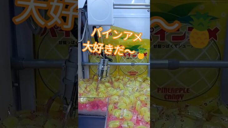 パインアメ久しぶりに食べたらめちゃうまだったよ🍍 #クレーンゲーム景品 #ゲームセンター #クレーンゲーム #クレーンゲーム攻略 #ufoキャッチャー #ゲーセン #ショート #パインアメ