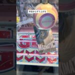 ずり上げ好き #クレーンゲーム攻略 #クレーンゲーム動画 #ufoキャッチャー #ゲームセンター