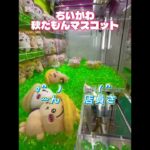 #ゲームセンター #プライズ獲得 #クレーンゲーム #アミューズメント限定 #確率機 #ufoキャッチャー #確率 #ゲーセン #ジェミニ #ちいかわ#新景品