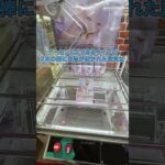 カート一杯の景品持ってるとめっちゃ見られる #クレーンゲーム #ゲームセンター #ufoキャッチャー