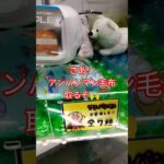 アンパンマンお昼寝毛布取りたい🤓 #クレーンゲーム景品 #ゲームセンター #クレーンゲーム攻略 #クレーンゲーム #ufoキャッチャー