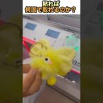サービス台でなかなか取れない景品は何回で取れるのかやってみた‼️#クレーンゲーム　#ufoキャッチャー