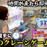 【クレーンゲーム】本気攻略⁉︎人気景品を大量に取ろうとしたら衝撃な結末を迎えました…【ufoキャッチャー】