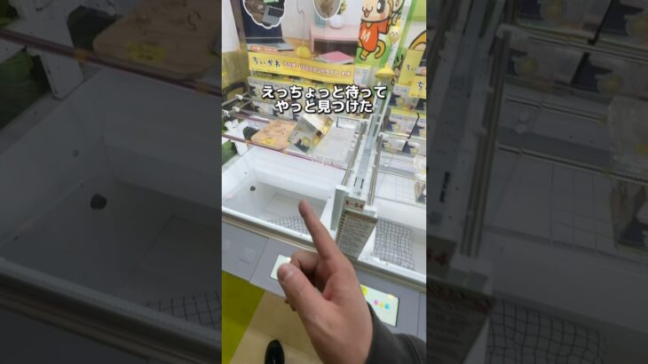 やっと見つけた景品は何回で取れるのか？　#クレーンゲーム #ゲームセンター #ufoキャッチャー