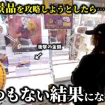 【クレーンゲーム】本気攻略‼︎人気景品を安く取ろうとしたら衝撃映像が撮れました…【ufoキャッチャー】