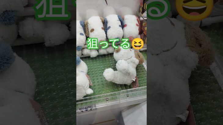 全然つかまないよ😱💦 #クレーンゲーム景品 #クレーンゲーム #ゲームセンター #ufoキャッチャー