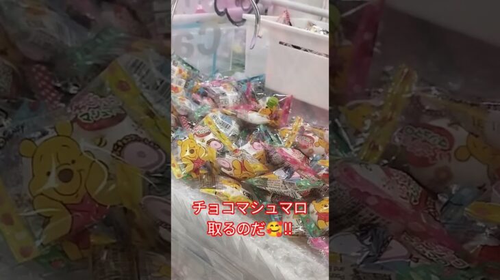 いちごマシュマロとチョコマシュマロがあったよ🍫 #クレーンゲーム景品 #ゲームセンター #クレーンゲーム #クレーンゲーム攻略 #ufoキャッチャー