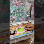 取りたくて必死になってる🤭#ゲームセンター #クレーンゲーム景品 #クレーンゲーム #クレーンゲーム攻略 #ufoキャッチャー