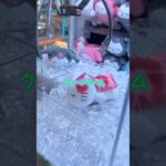 #クレーンゲーム #ufoキャッチャー #ゲームセンター #ぬいぐるみ #攻略 #ハローキティ #景品 #shorts