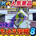 [クレーンゲーム] 設定が渋くても取れます！おたちゅう人気景品攻略法 [ユーフォーキャッチャー]
