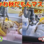 ちいかわ秋だもんマスコット☆ 自力狙えるけど天井深いお店か？自力は無理だけど天井優しいお店か？あなたならどっち？【クレーンゲーム】