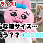 【クレーンゲーム】最新プライズ いろんな箱サイズに挑戦だ!!