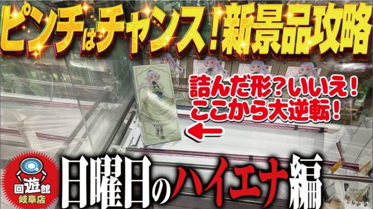 【クレーンゲーム】詰んだと思っても諦めない！信じたものは救われる！回遊館岐阜店！